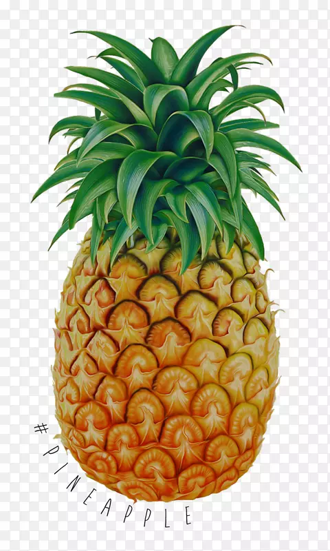 �ȴ�ˮ����������-����-������