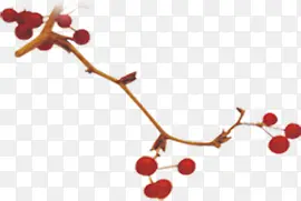 ��ɫ��ʵ��֦װ��-������