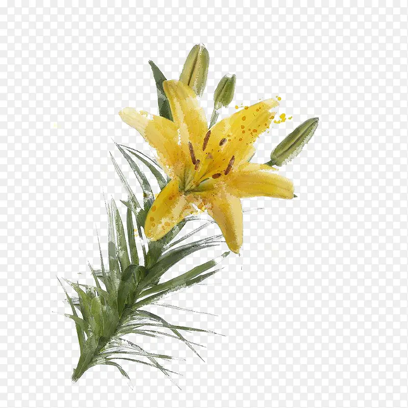 ˮ�ʻ�ɫ�ٺϻ�-������