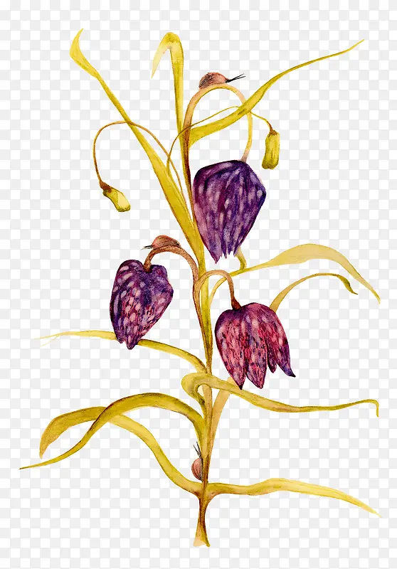 �ֻ��ή�Ļ���ֲ��-������