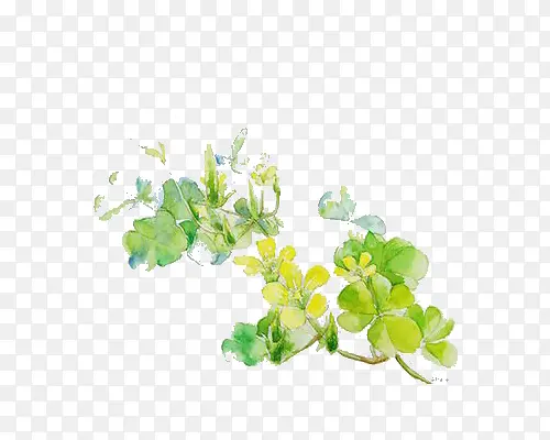 ��Ҷ���Ҹ�-������