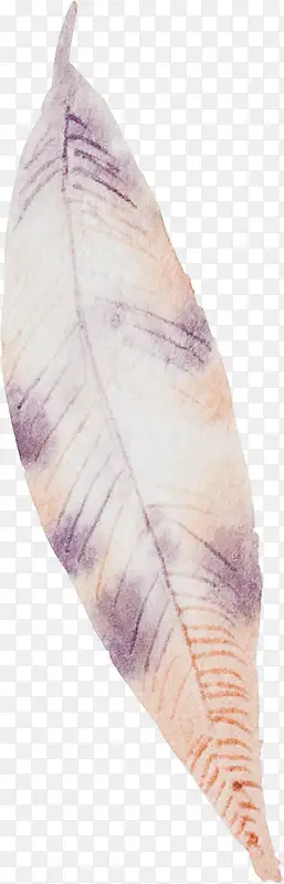 �ֻ���ëͼƬ�ֻ�ͼƬ-������