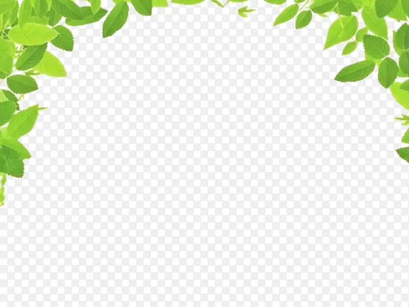 ��Ҷ���ҶԳƱ߿�-������