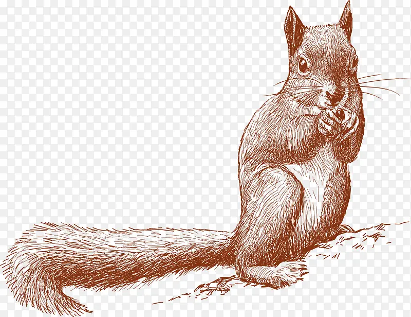 ���Ź�ʵ��С����-������