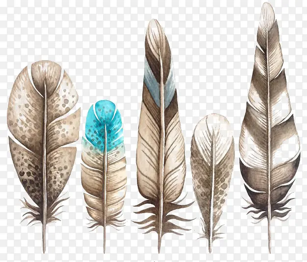 ˮ����ë�ռ�-������