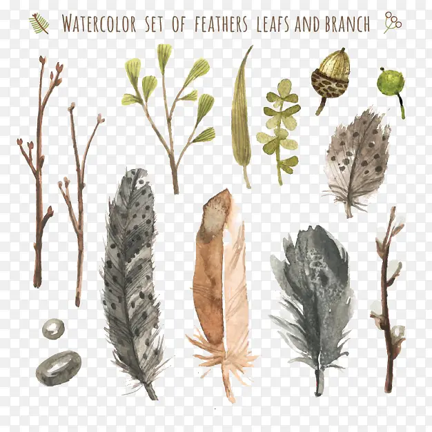 ˮ����ëҶ�Ӻ���֦-������