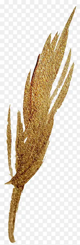 ��ɫ��ëˮ�ʷ��-������