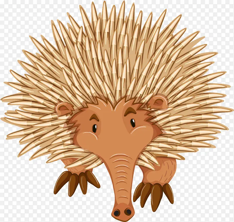 ��ͨ�ɰ�С����װ�ζ���ͷ����-������