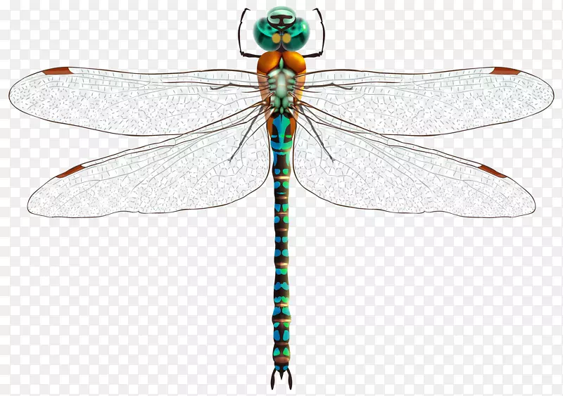 �������Ѽ�����-��Ȧ����-������