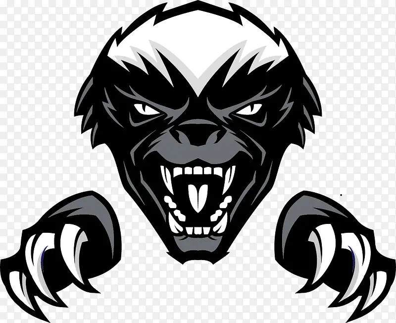 �Գ�ʸ��צ�ӿ�ͨ���-������