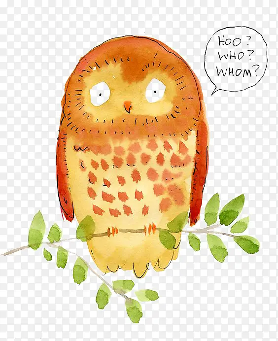 ˮ��èͷӥ-������