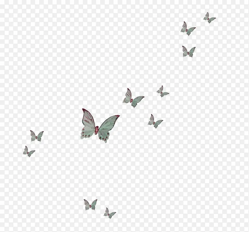 ��ɵĺ���-������