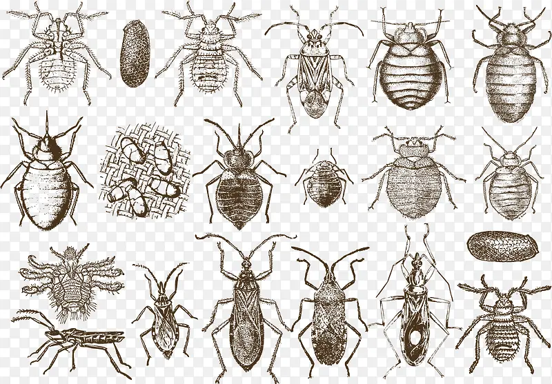 �ֻ�����-������