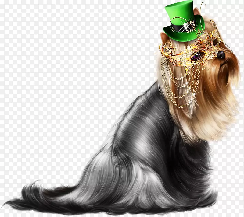 Լ�˿���Ȯ����ʿ����Ȯ��С��-3D��-������