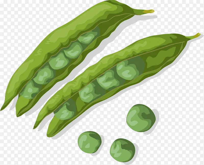 �߲˲϶�װ�����ʸ��-������