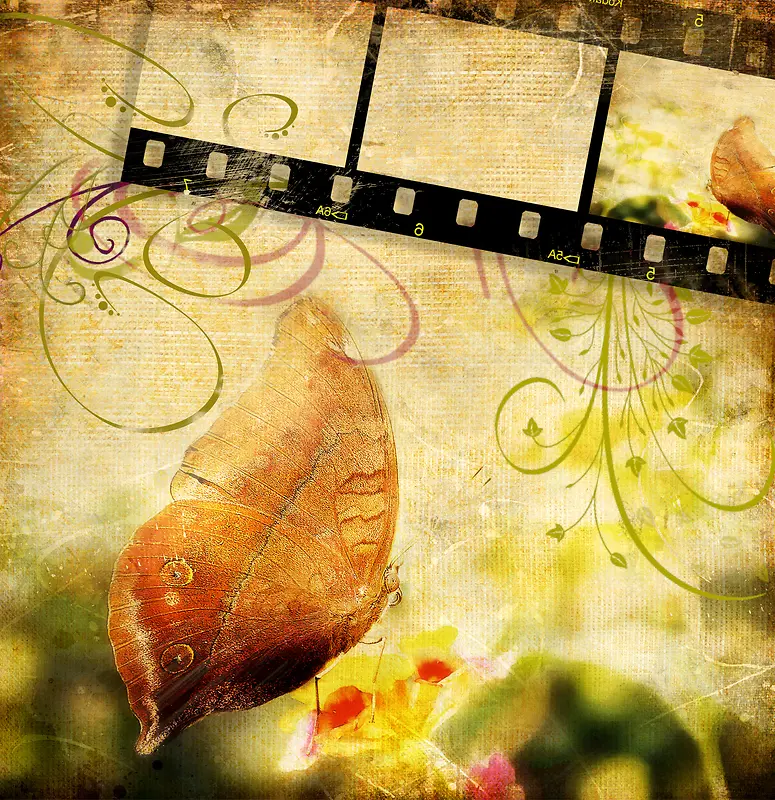 ���ɺ������Ʊ���-������