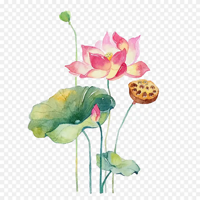 Ψ���ֻ��ʻ�-������