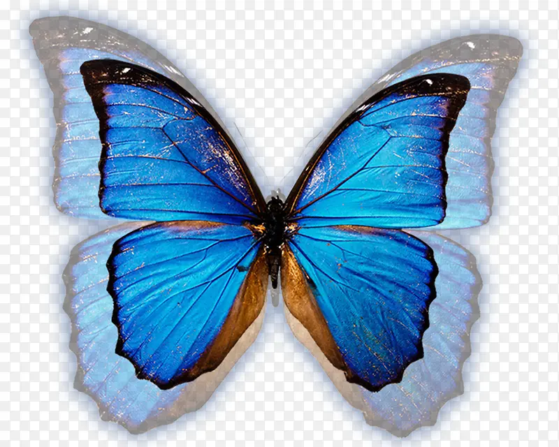 ��������-������