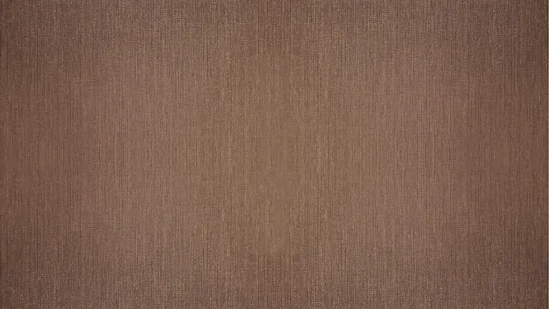 ���洴����������-������