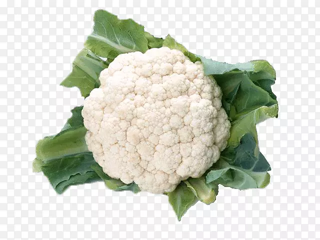 ��Ҭ�˻�Ҭ��-������