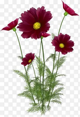 ����ʸ��ͼ�ز�Ψ������ͼƬ-������