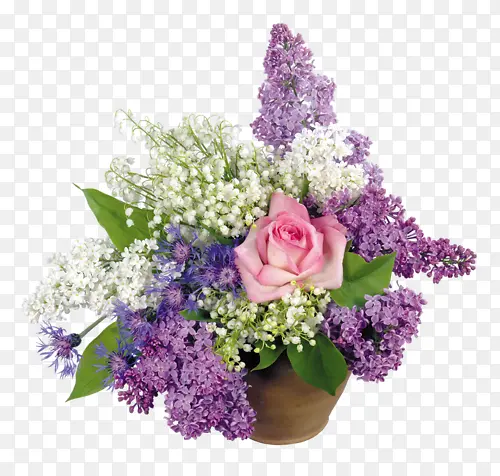 ����ͼ�����軨��-������