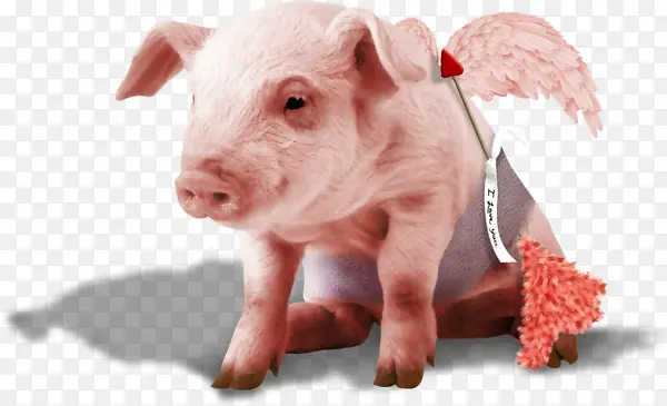 ������С��-������