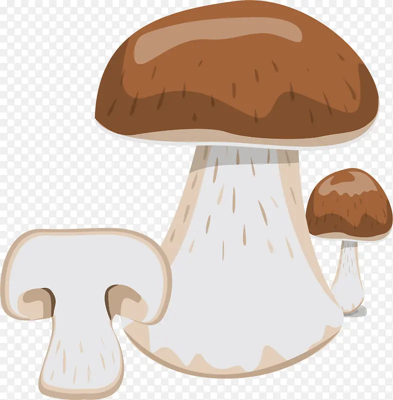 ��ͨ�ֻ��߲�װ�κ�������㹽-������