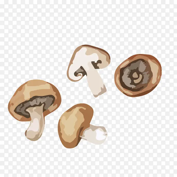 ��ͨ�ֻ��߲�װ�κ�������㹽-������