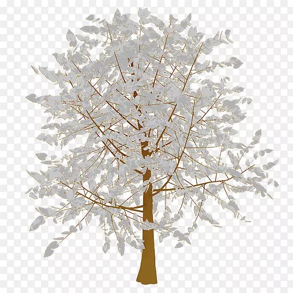 ��֦����-������