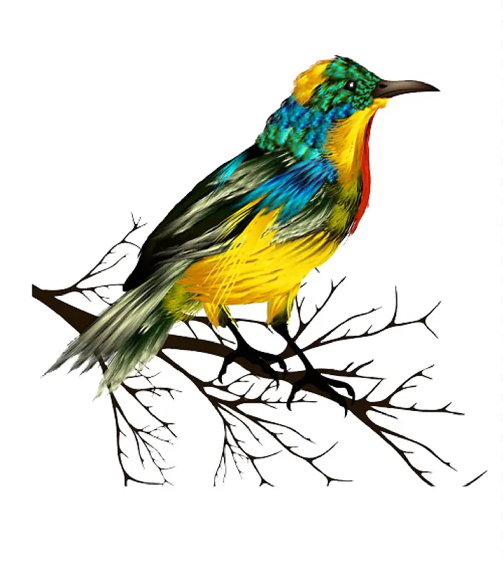 ��֦�ϵ����-������