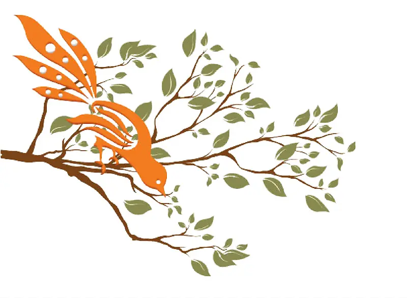 ��֦�ϵ���-������