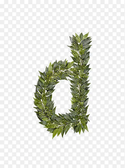 ��Ҷ��ĸd-������