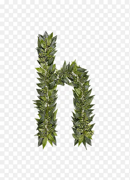 ��Ҷ��ĸh-������