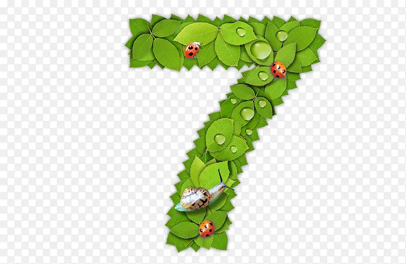 ��Ҷ����-������