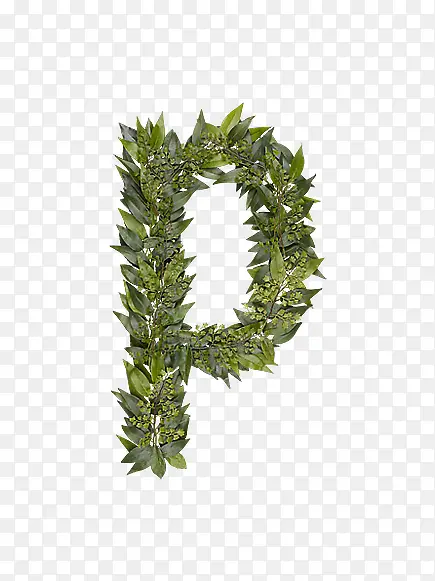 ��Ҷ��ĸp-������