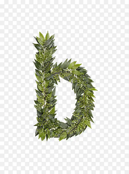 ��Ҷ��ĸb-������