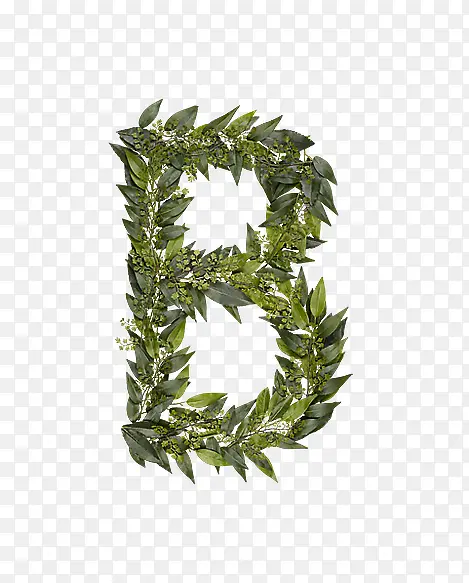 ��Ҷ��ĸb-������