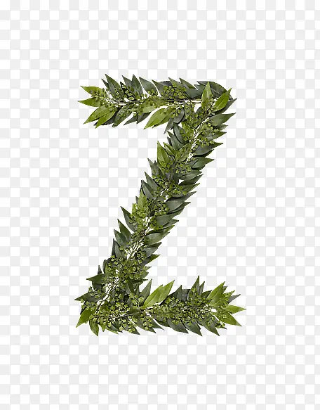 ��Ҷ��ĸz-������