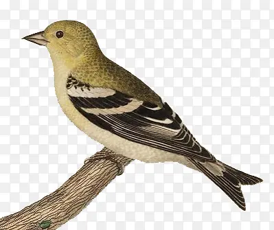 �����-������