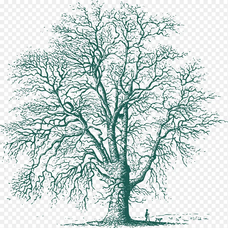 ��ɫ����-������