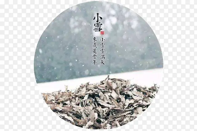 ��ɫԲ��Сѩ������־-������