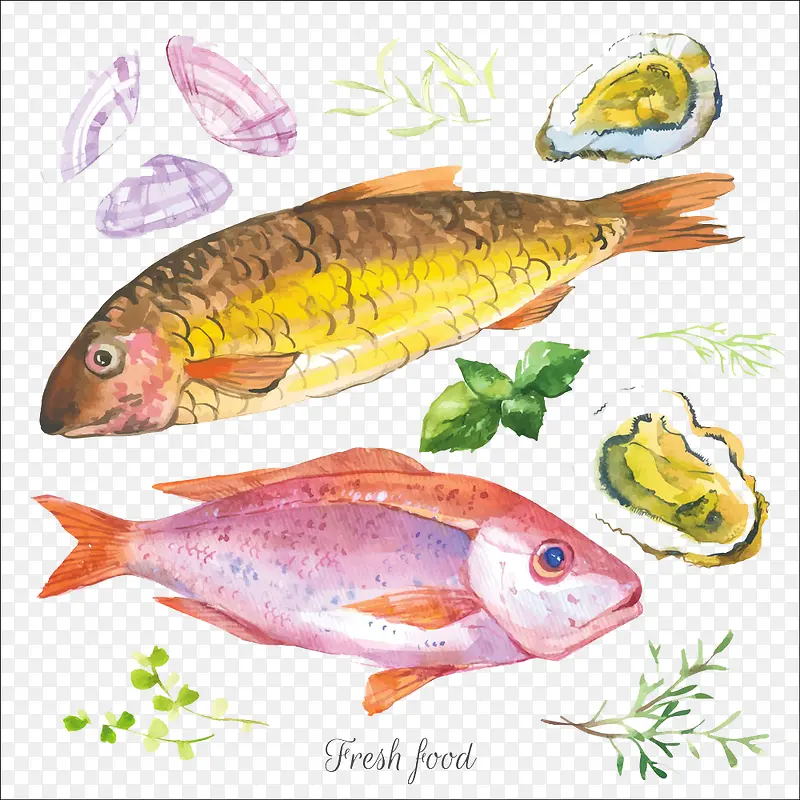 ���ຣ��ʳ��ͼƬ-������