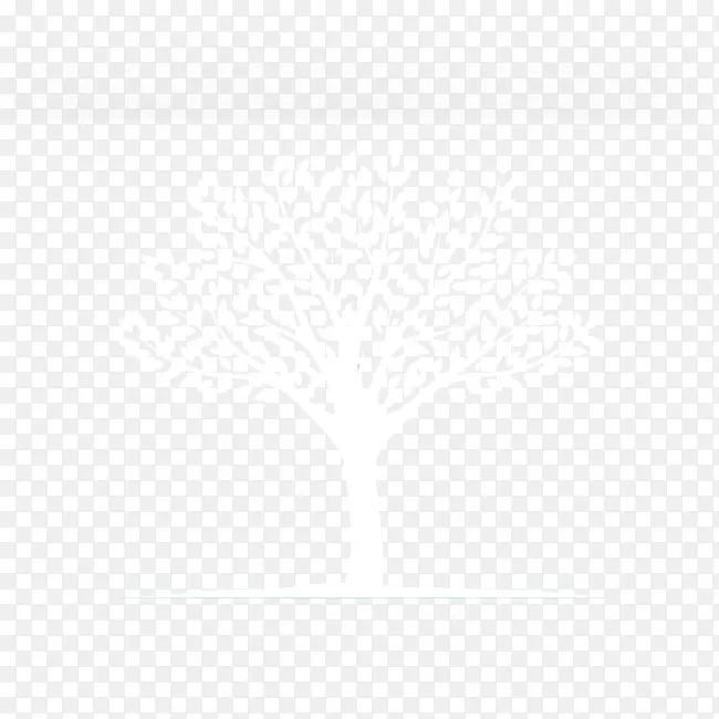 ��Լ��׵���-������