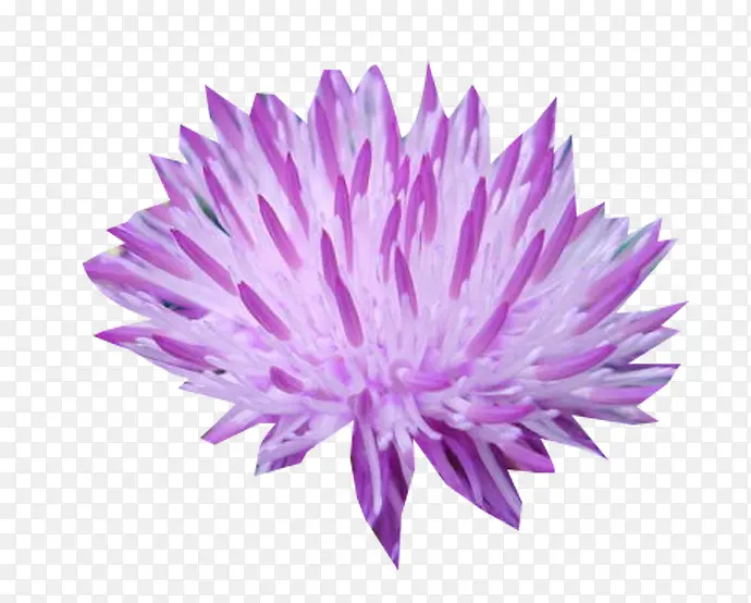 �������̼���ͼƬ�ز�-������