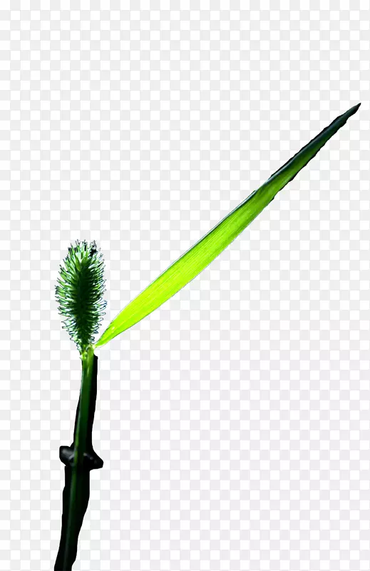 �ڿ��쵼��ÿһ����ҵ����Ҫ���11��ȱ�ڣ��Լ�Ѹ��������Щ��������-��ƺ��-��Ƭ��-������