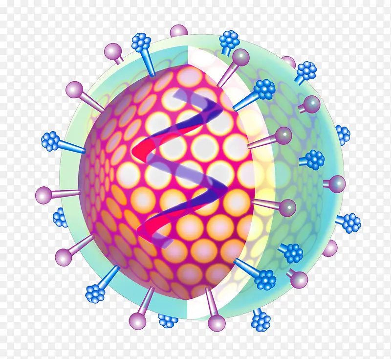 ����ϸ������ϸ��ʾ��ͼ-������