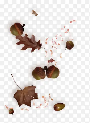 �������С�ز�-������