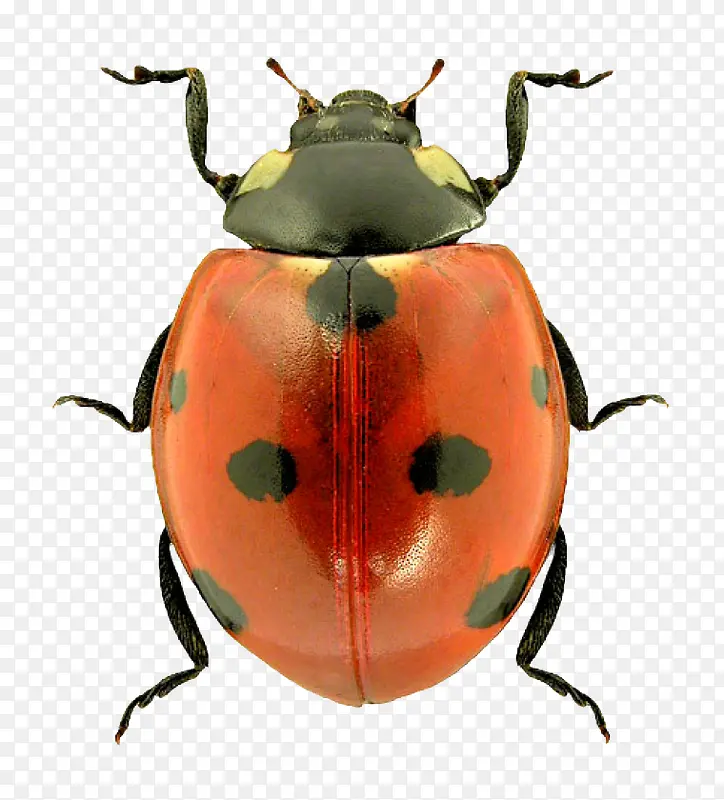 ����ư��-������