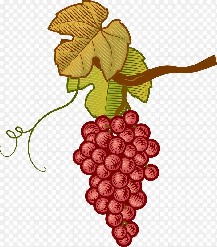 ��ͨ�ֻ�������-������